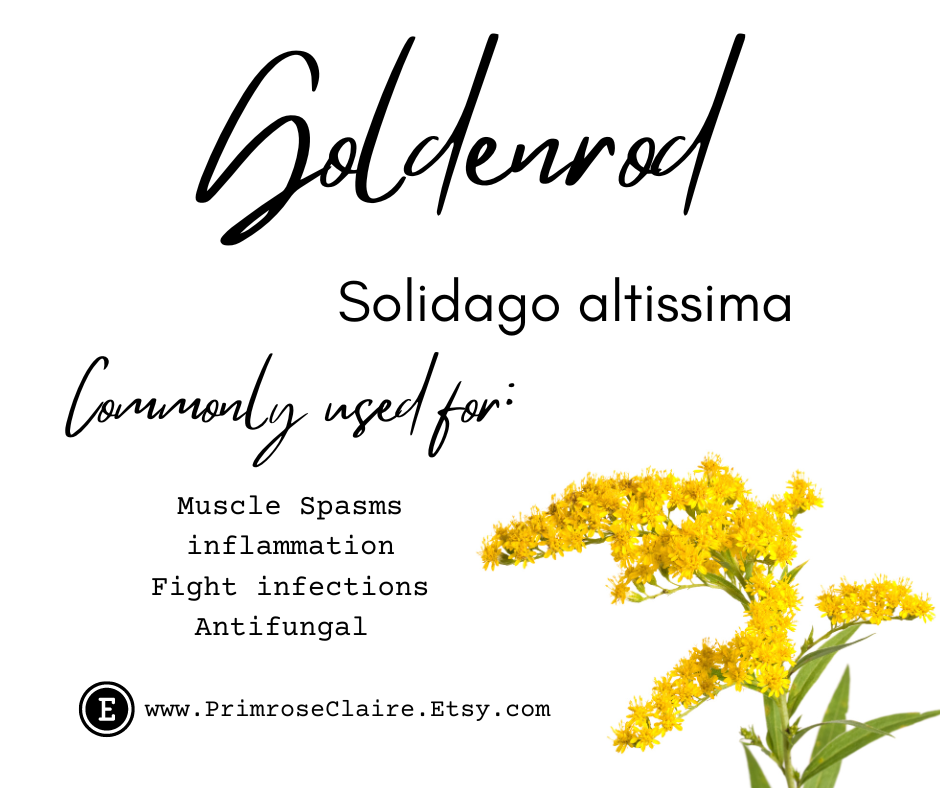 Goldenrod Tincture