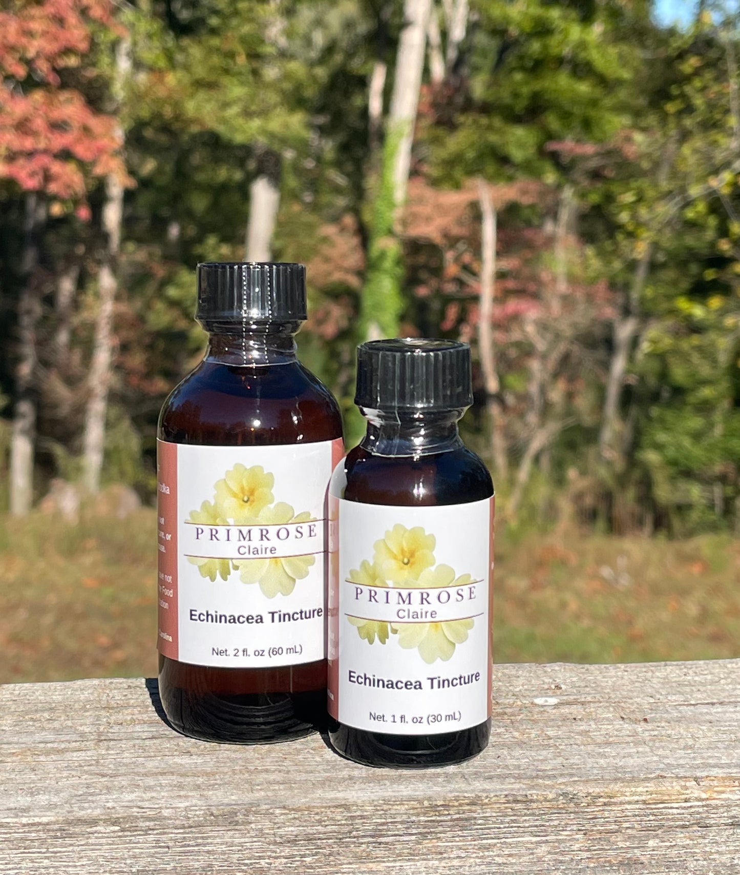 Echinacea Tincture