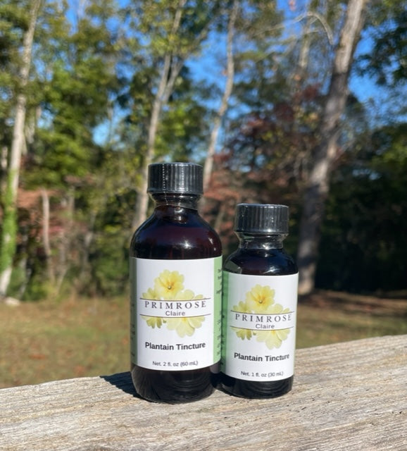Plantain Tincture