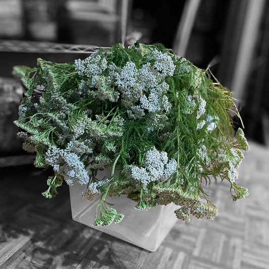 Celebrating Thanksgiving with Nature’s Bounty: The Science Behind Herbal Wellness