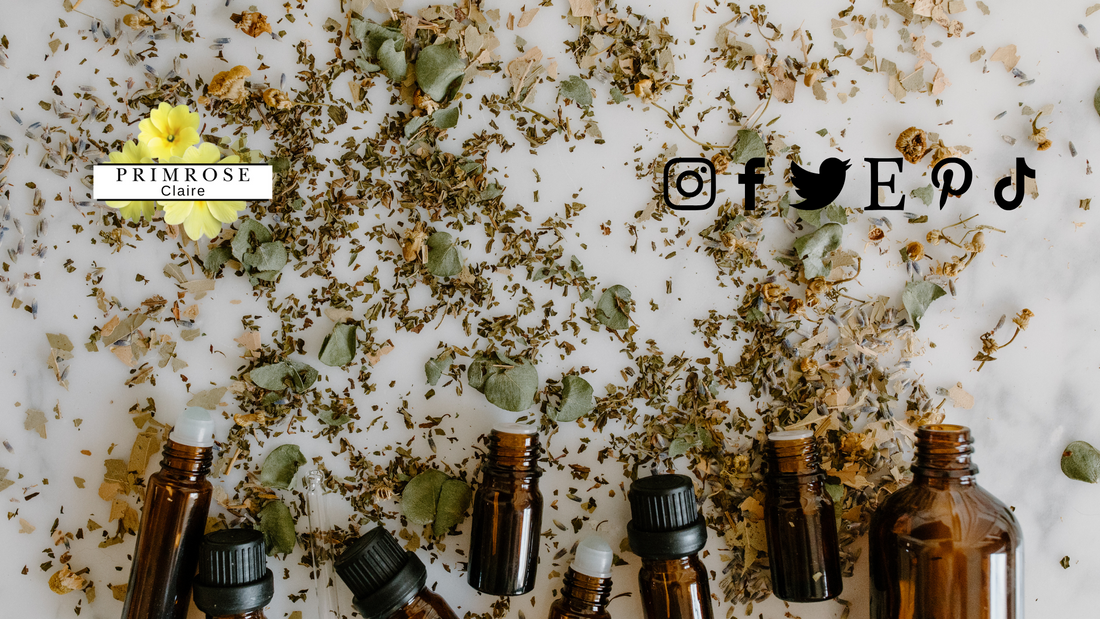 Beyond Medicine: Why Herbal Remedies are Worth Exploring
