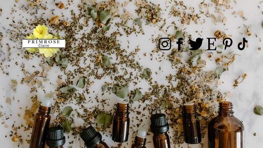 Beyond Medicine: Why Herbal Remedies are Worth Exploring