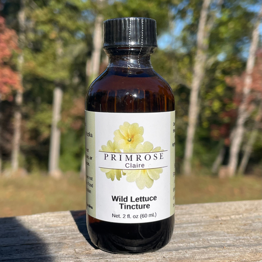 Wild Lettuce Tincture