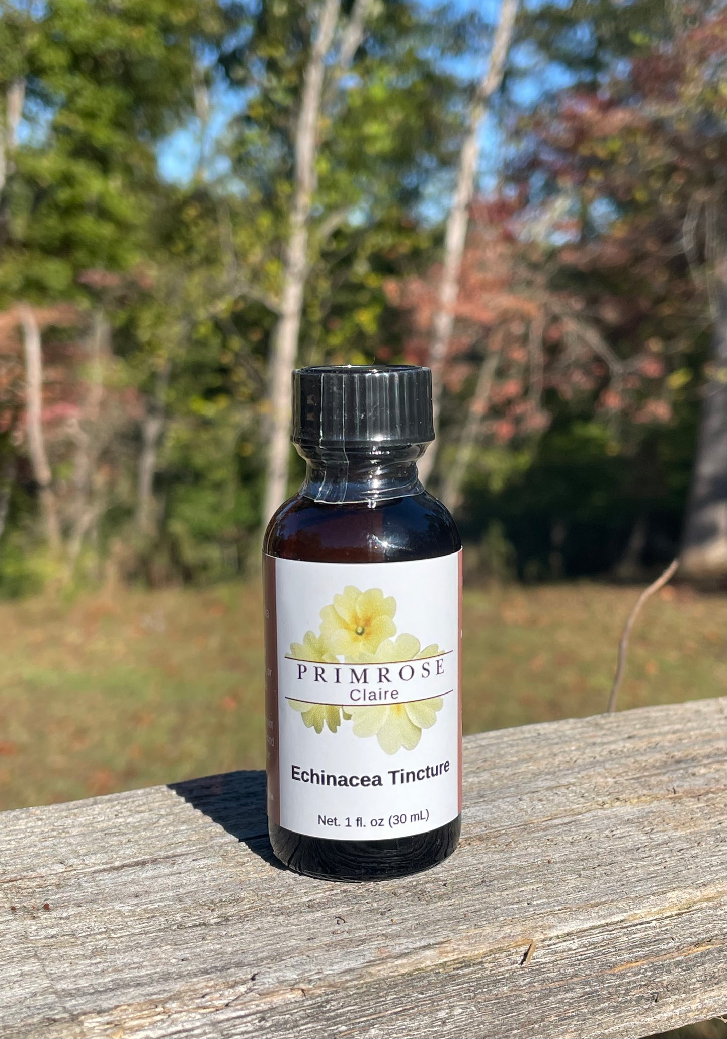 Echinacea Tincture