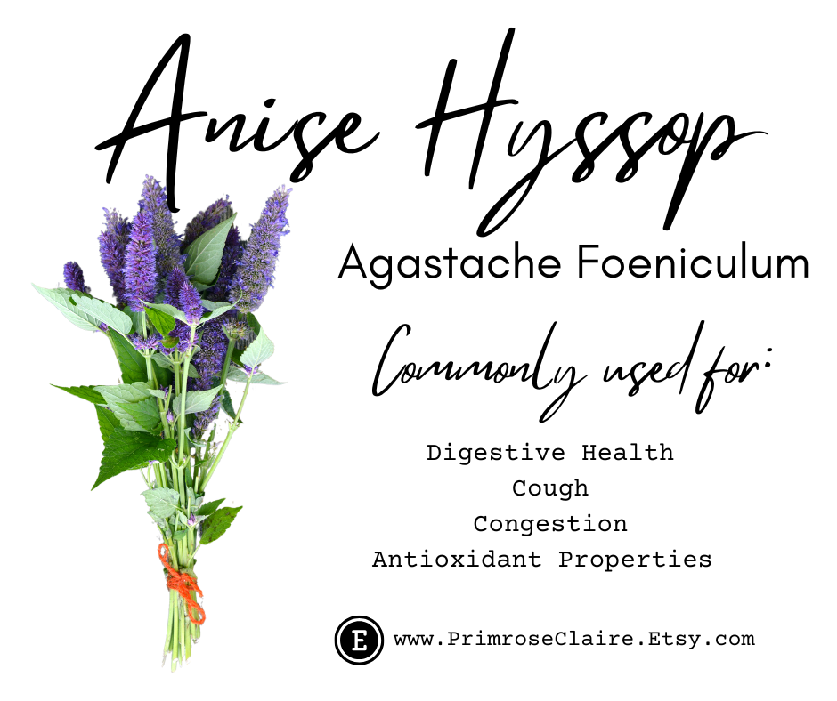 Anise Hyssop
