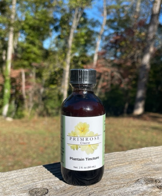 Plantain Tincture