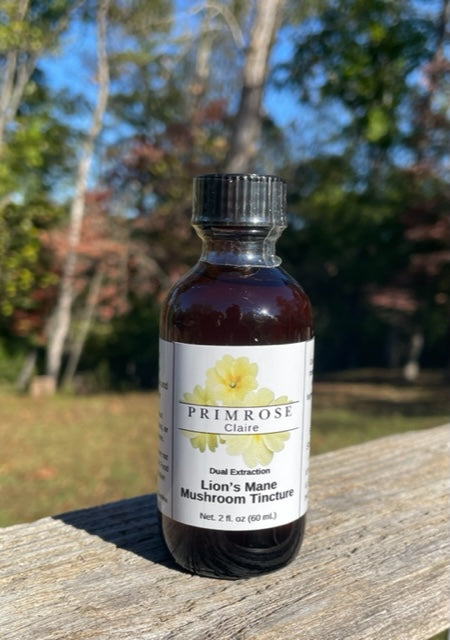 Lion's Mane Mushroom Tincture (Dual Extraction)